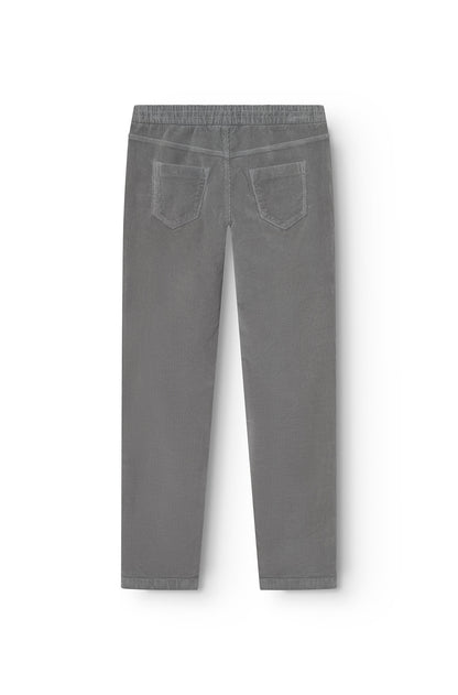 AD 88 - Pantalon Velours Gris